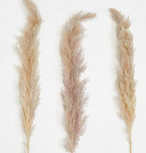 Load image into Gallery viewer, 42" Glow Stick Pampas Grass Stem, Set of 3