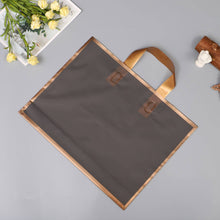 Load image into Gallery viewer, 12"x3"x10" frosted gold border EVA gift bag