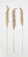 Load image into Gallery viewer, 42" Glow Stick Pampas Grass Stem, Set of 3